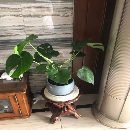 []长沙工厂急售双点压力机630吨400吨250吨现货供应_打包.