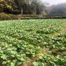 []安装未用2500多工位压力机.配瑞士自动化.在位试机出售.